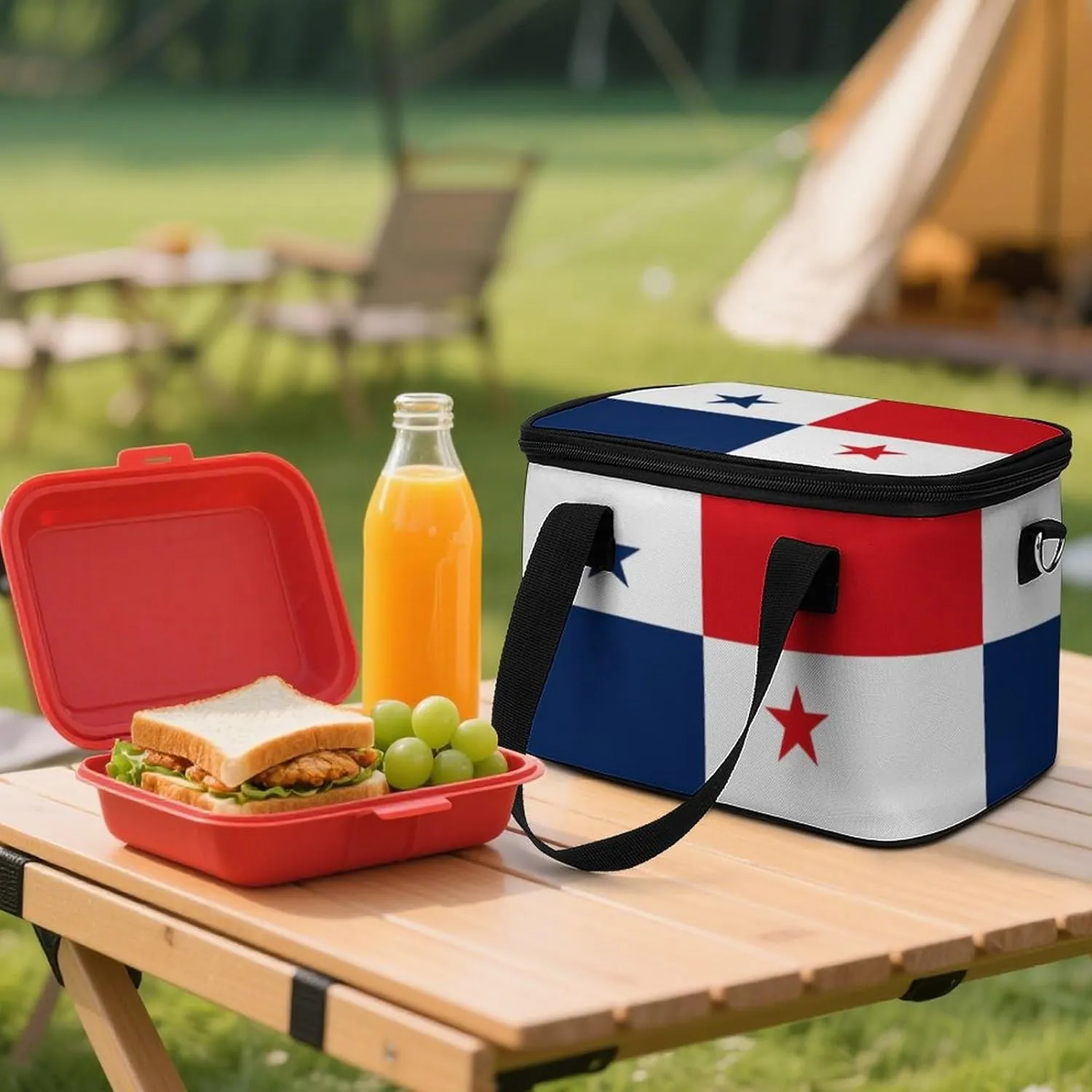Collapsible Cooler Bag Camping Cooler Tote Lunch Cooler Insulated Waterproof Lunch Box for Picnic Beach Travel