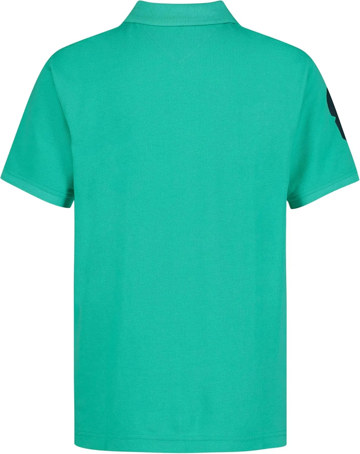 Tommy Hilfiger Boy's Short Sleeve Matt Polo Shirt